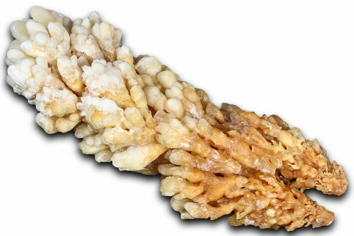 Sparkling Calcite/Aragonite Stalactite Formation - China #364514